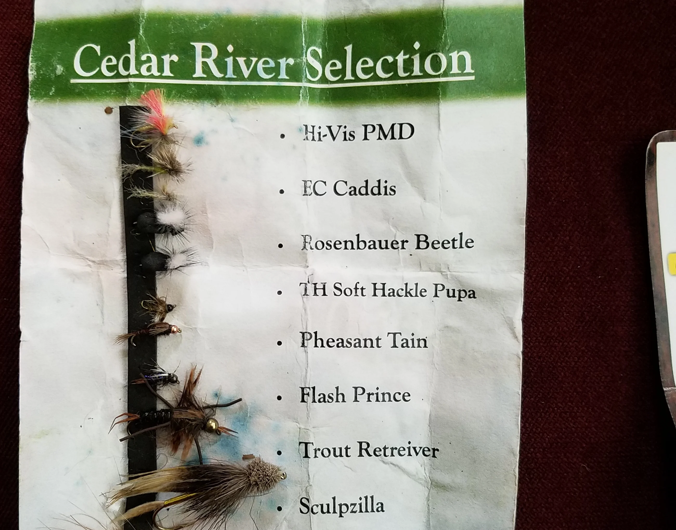 Participants of the Northwest Fishing Club engage in a day-long fly fishing adventure, learning skills and connecting with nature.